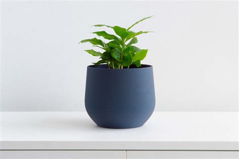 blue plant pot indoor