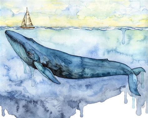 blue whale pictures to print