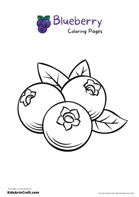 blueberry coloring pages