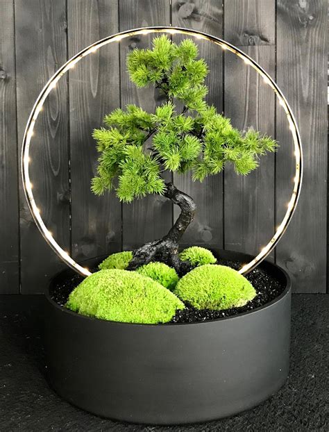 bonsai light