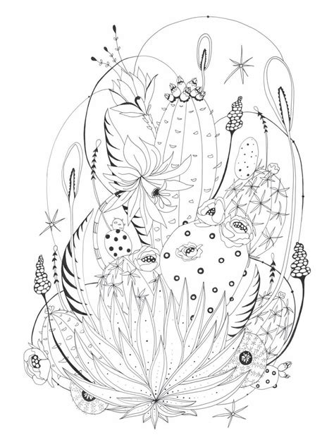 botanical coloring books for adults