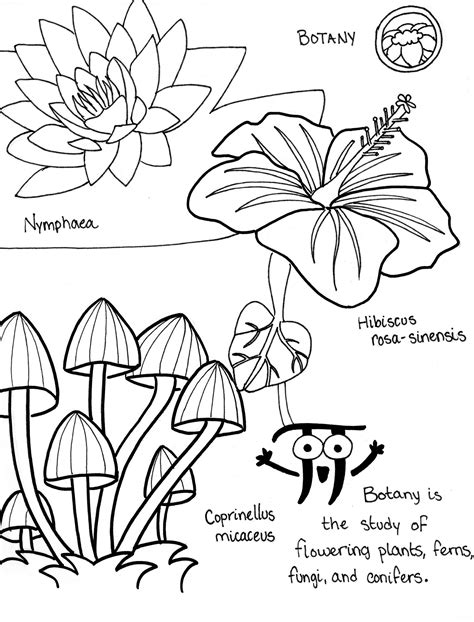 botany coloring pages