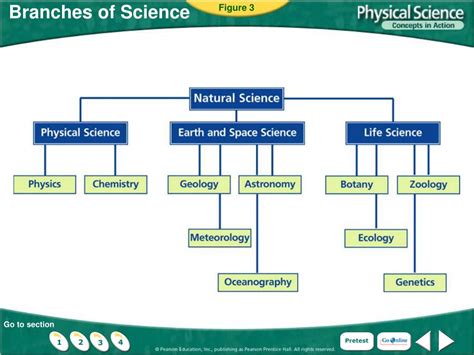 Branches Of Science Chart