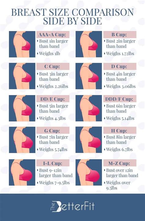 Breast Size Visual Chart