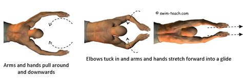 Breaststroke Arm Movement