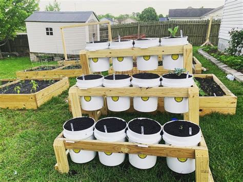 bucket garden ideas