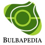 Bulbapedia Omega Ruby Walkthrough