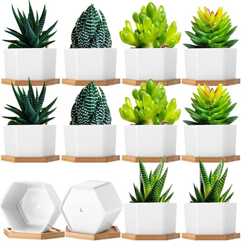 bulk plant pots