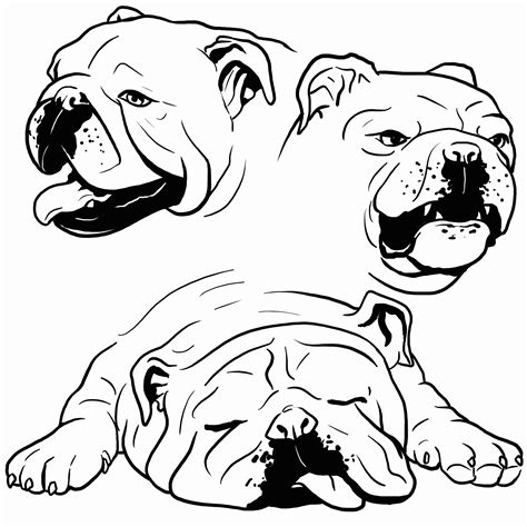 bulldog coloring pages printable