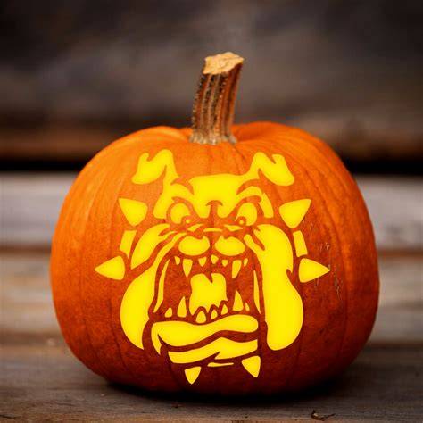 bulldog pumpkin