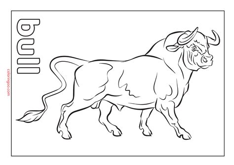 bulls coloring pages