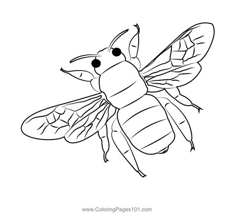 bumble coloring pages