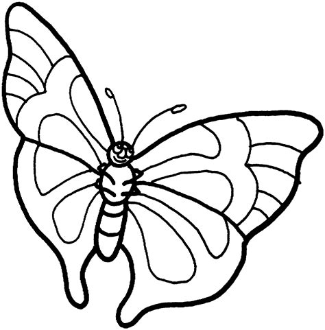 butterfly coloring images