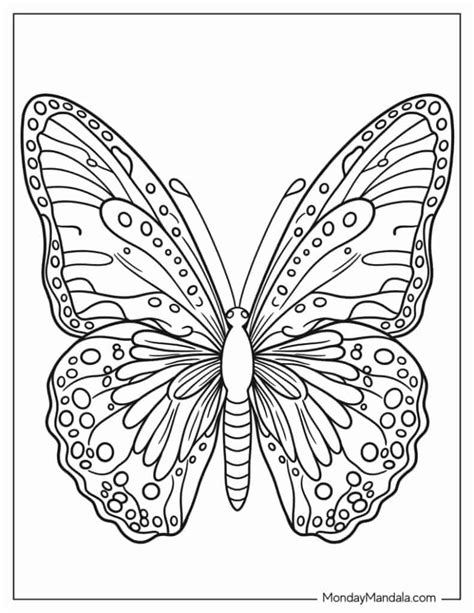 butterfly pdf coloring