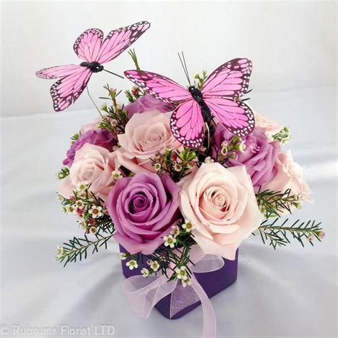 butterfly roses