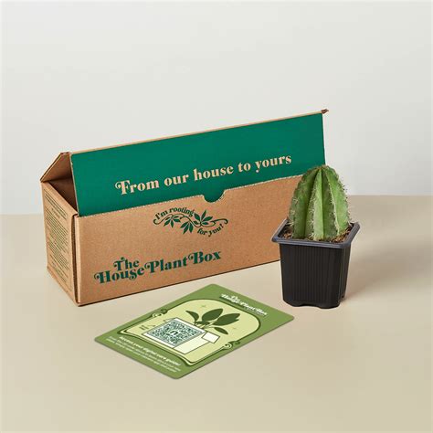 cactus box