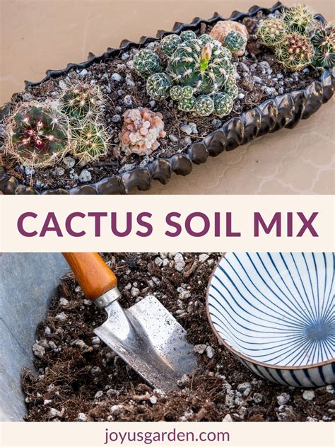cactus dirt mix