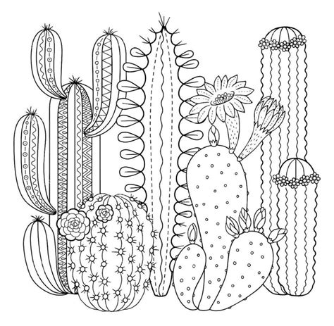 cactus flower coloring page