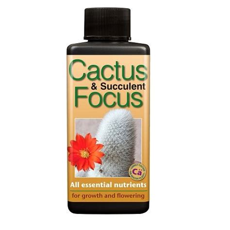 cactus focus