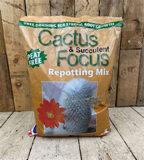 cactus focus repotting mix