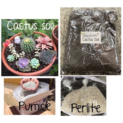 cactus soil mix perlite