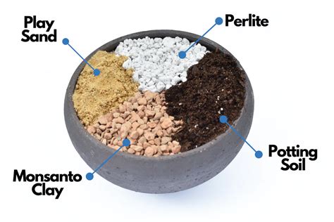 cactus soil mix ratio