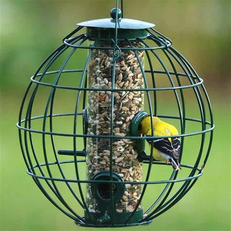caged bird feeders