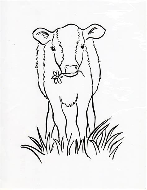 calf coloring pages
