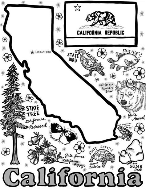 california coloring pages