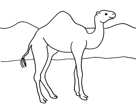 camel picture for colouring