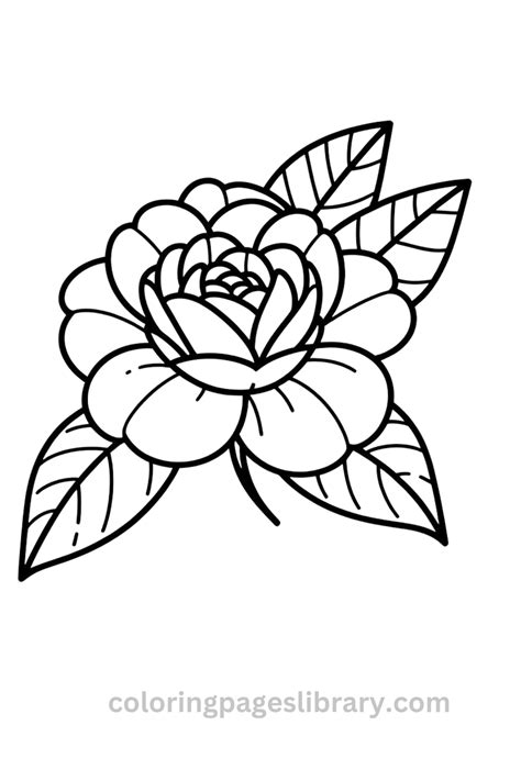 camellia coloring page
