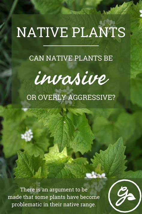 can native plants become invasive