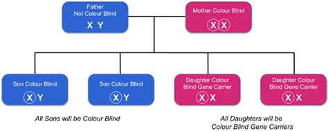 Can Women Be Color Blind Coloring Wallpapers Download Free Images Wallpaper [coloring436.blogspot.com]