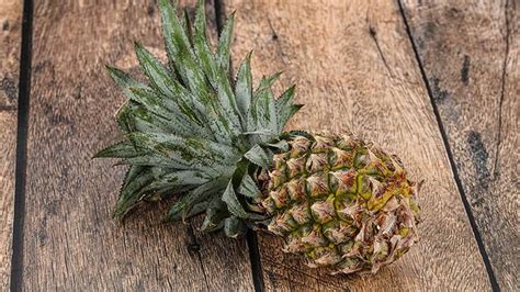 can you compost pineapple