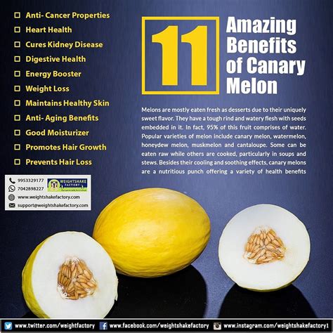 canary melon benefits
