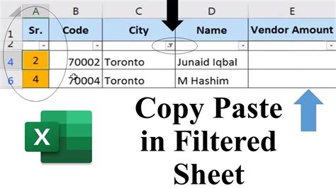 cannot copy or paste a particular type of data