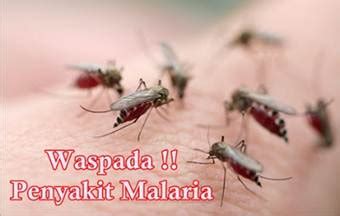 cara mengatasi penyakit malaria