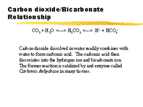 carbon dioxide bicarbonate