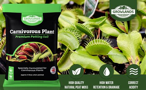 carnivorous plant compost