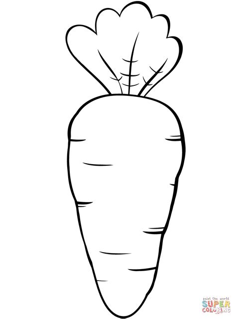 carrot coloring page