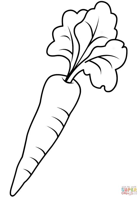 carrot colouring pages