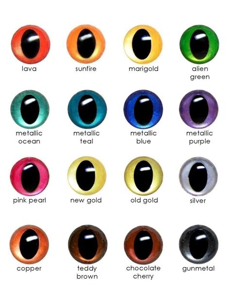 Cat Eye Colors Chart