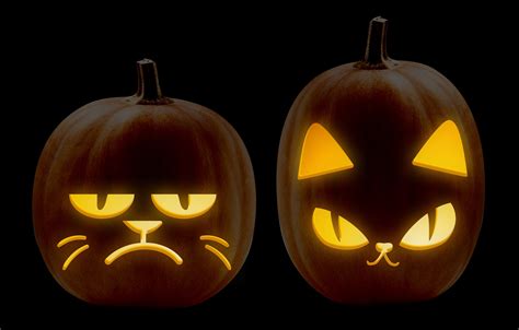 cat jack-o-lantern