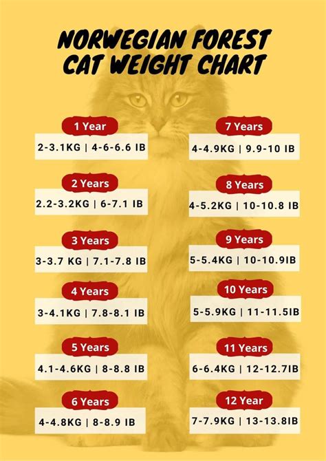 Cat Weight Chart