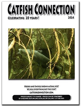 Catalog Catfish Connection