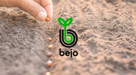 Catalogo De Semillas Bejo