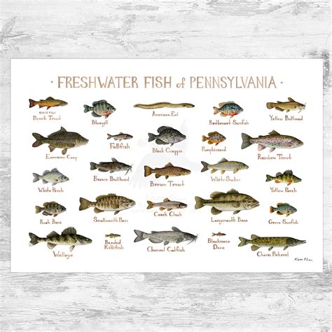 Catch Limits for Freshwater Fish in Pennsylvania