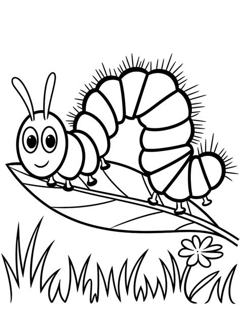 caterpillar coloring pages