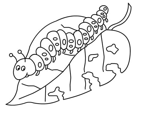 caterpillar coloring pages printable