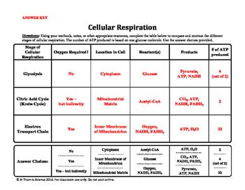 Cellular Respiration Reactants And Products Chart